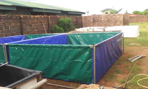 Best Collapsible Mobile Fish Pond in Nigeria by Benuwatts